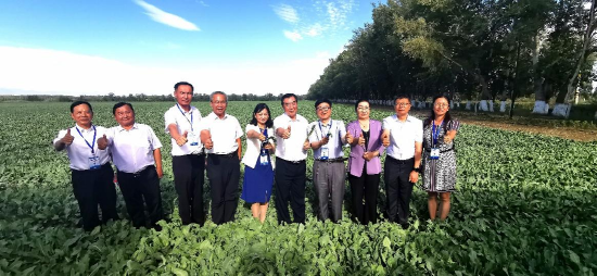 2022年7月,陶然院士(右4)黄正明院士(右5)宋达琳院士(右6)
为白云山板蓝根万亩gap药材基地齐点赞