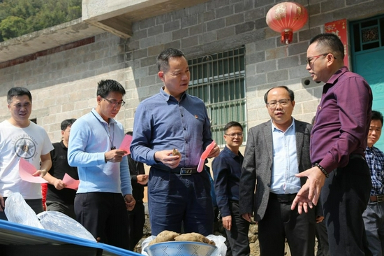 调研组进行实地调研走访