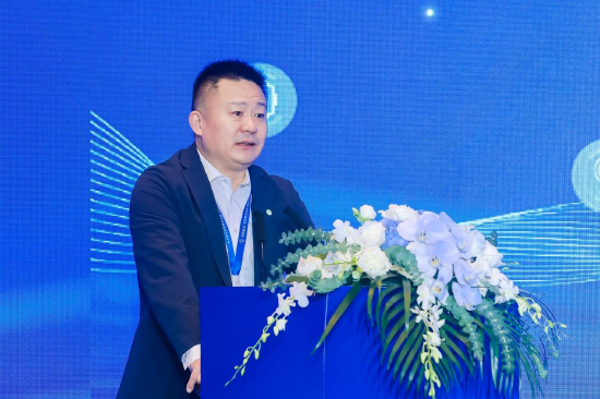 中国半导体行业协会执行秘书长 王俊杰