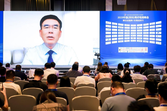 中国半导体行业协会ic设计分会理事长、清华大学教授 魏少军