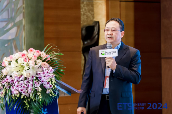 图:硅业分会专家委副主任吕锦标