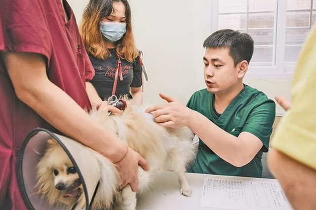花费数万治爱宠你愿意吗？